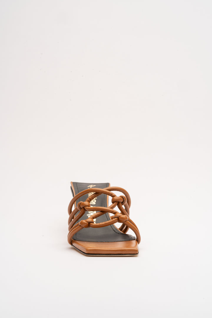GEMMA MULE 55